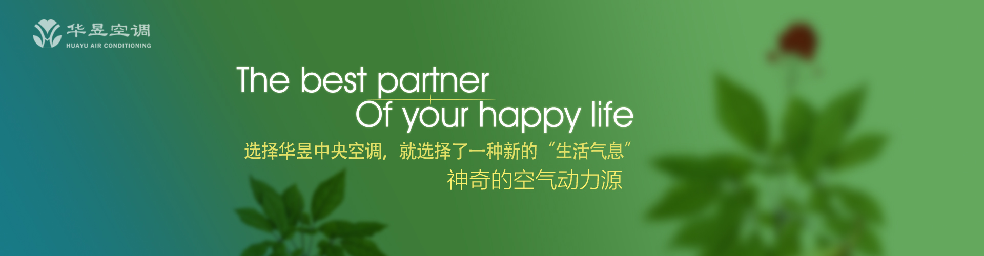 老罴当道网